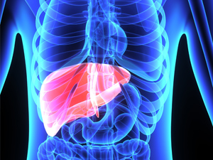 Liver Cancer