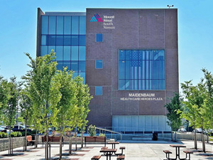 Buy a Brick - Maidenbaum Health Care Heroes Plaza