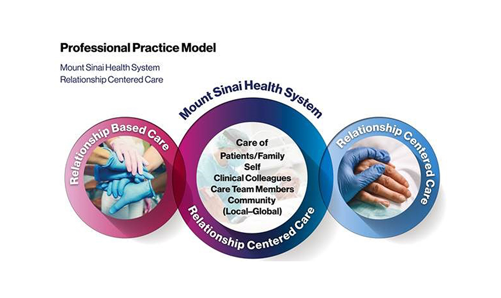 Professional Practice Model