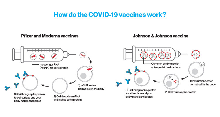 How Do COVID-19 Vaccines Work?
