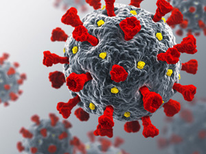 Coronavirus (COVID-19)