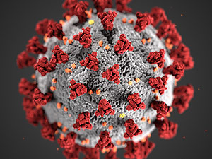 Truth In Medicine - Coronavirus